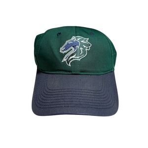 Charlotte Knights Baseball Minor League OSFM OC Sports Hook & Loop Cap Hat